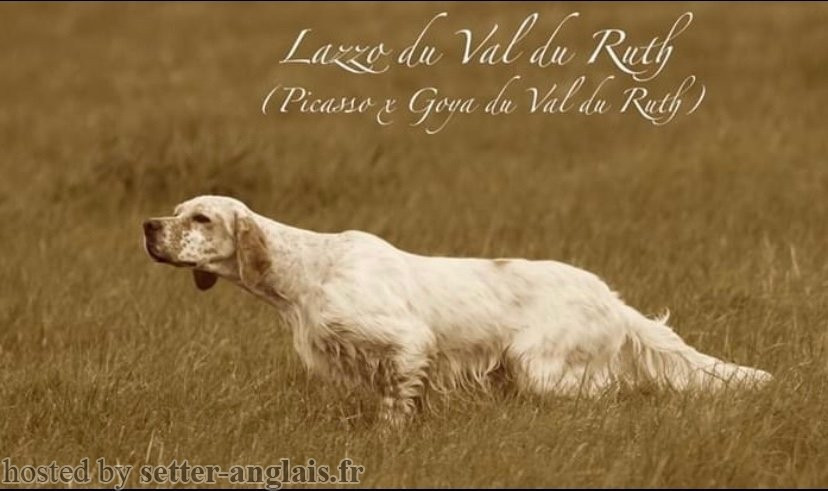 saillie réalisée le mercredi 15 avril 2026